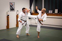 Mawashigeri-Jodan